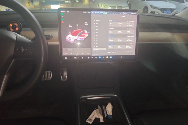 Tesla Model 3 2021 car image #13