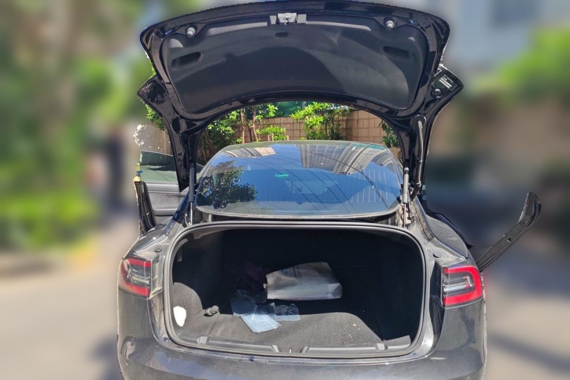 Tesla Model 3 2020 car image #8
