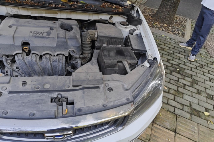 GEELY Emgrand 2019 car image #23
