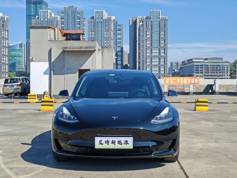 Tesla Model 3 2020 #2 Tesla Model 3 2020 car image #2