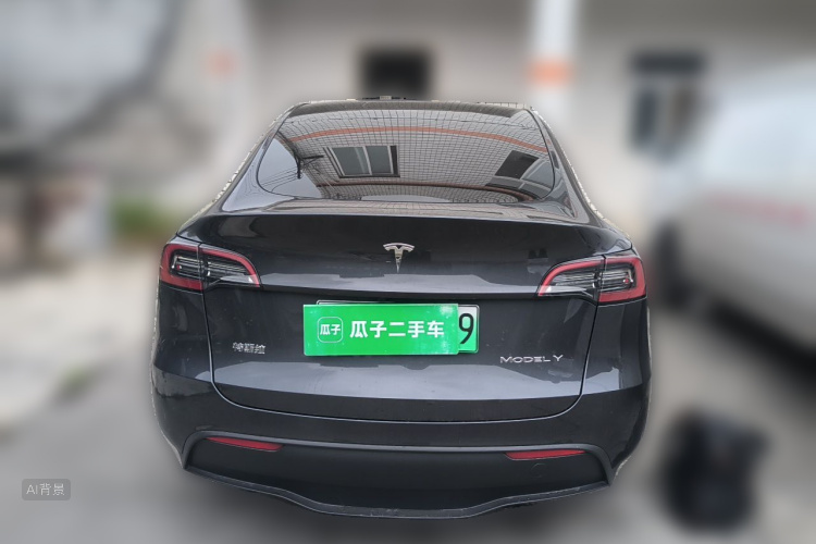 Tesla Model Y 2024 car image #6