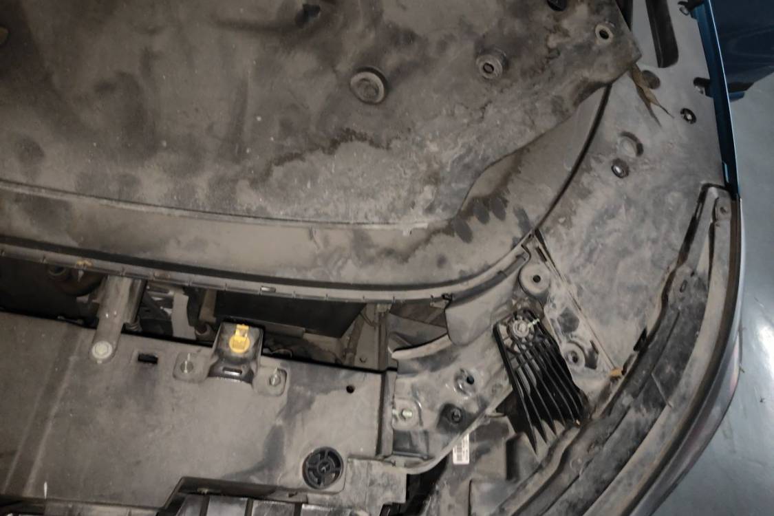 BYD Yuan Plus 2022 immagine di auto #12
