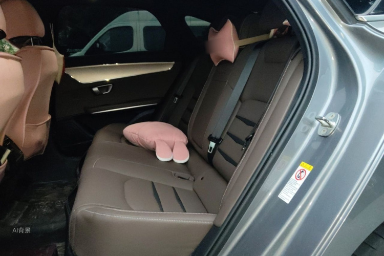 BYD Han 2021 car image #19