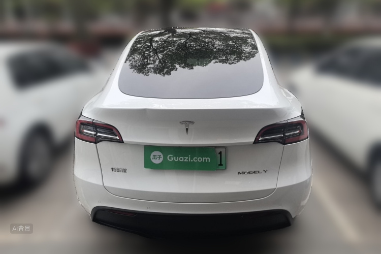 Tesla Model Y 2021 car image #6