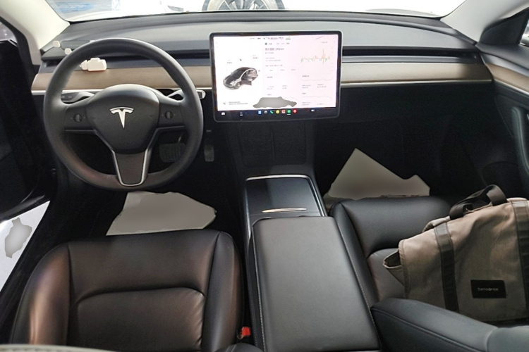 Tesla Model 3 2021 #10 Tesla Model 3 2021 car image #10