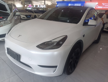 Tesla Model Y 2022 Tesla Model Y 2022 car image
