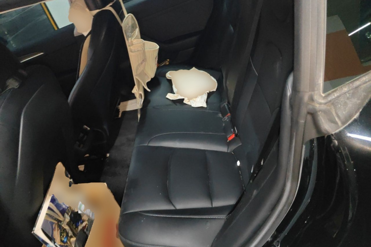 Tesla Model 3 2022 car image #10