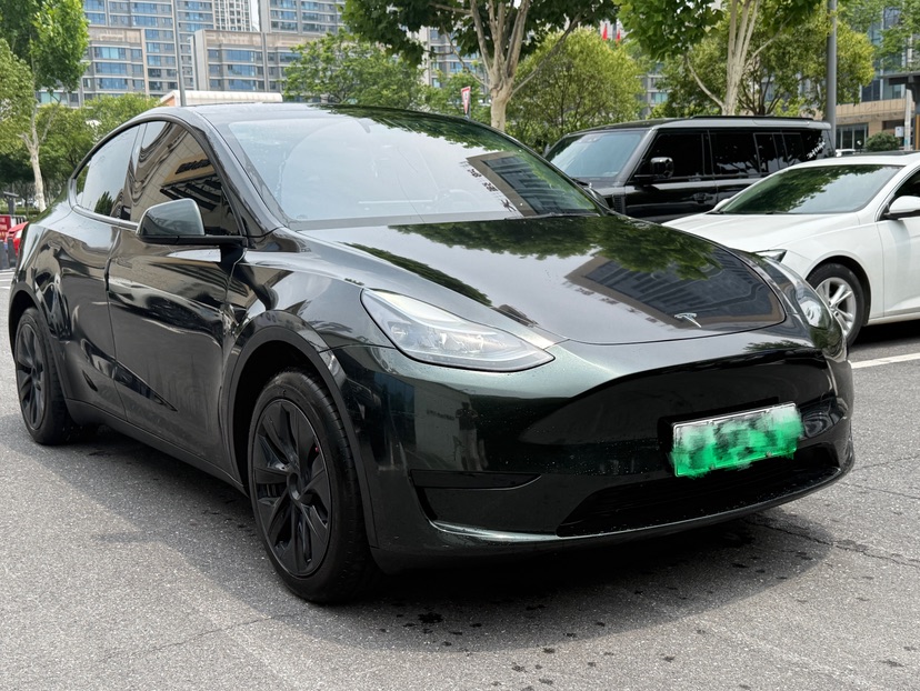 Tesla Model Y 2024 car image #3