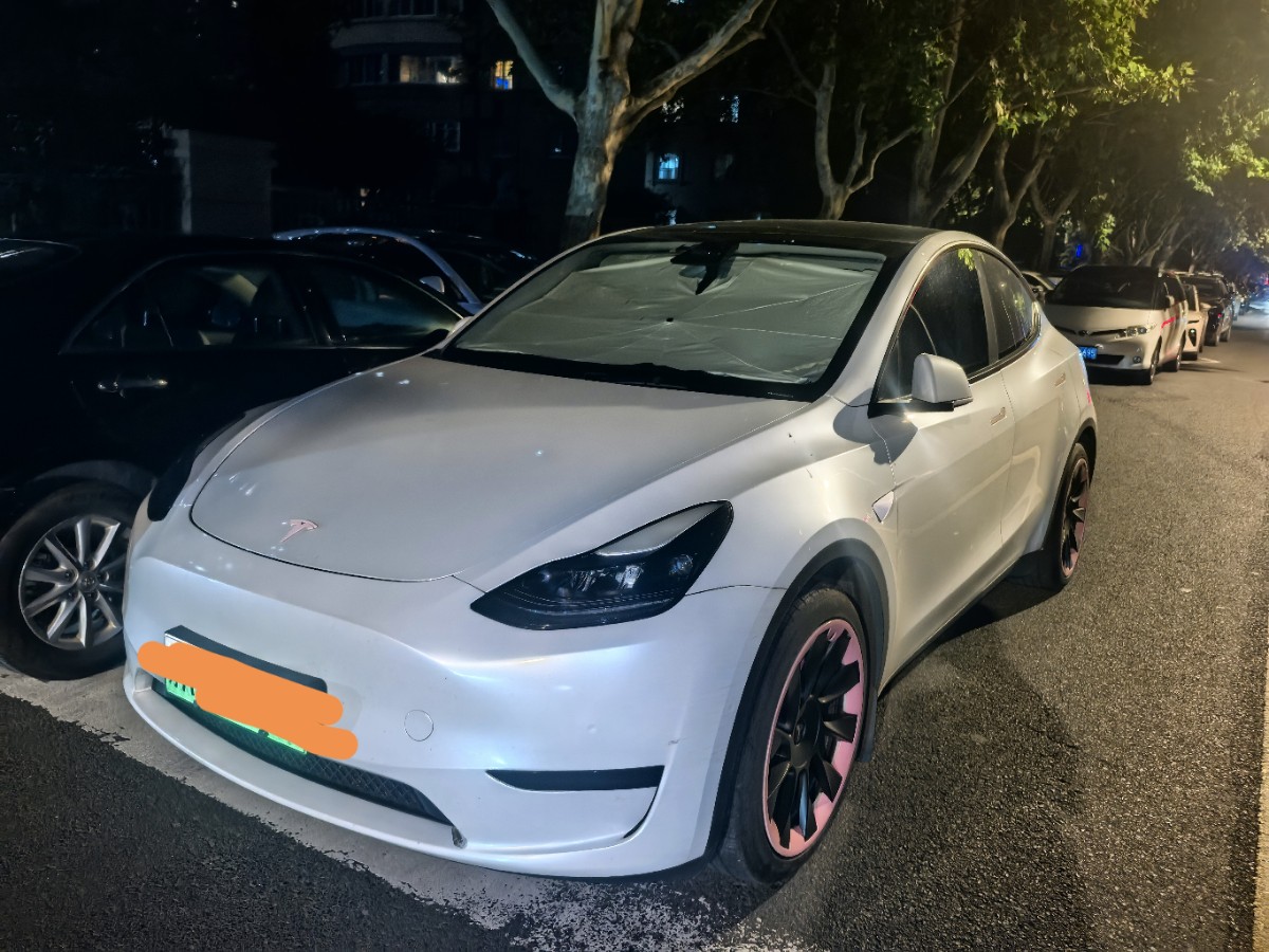 Tesla Model Y 2022 Tesla Model Y 2022 car image