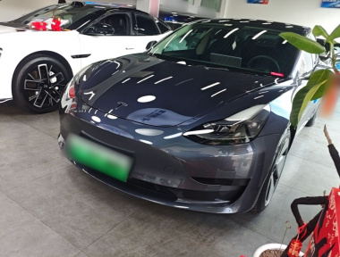 Tesla Model 3 2021 Tesla Model 3 2021 car image