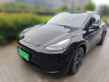 Tesla Model Y 2023 Tesla Model Y 2023 car image