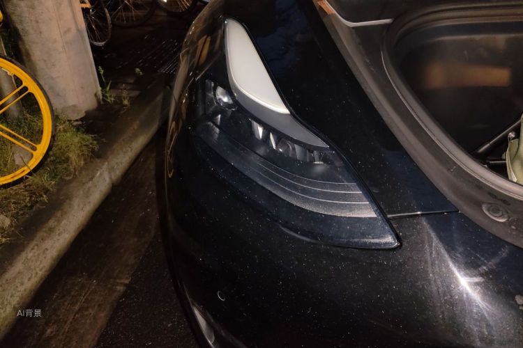 Tesla Model Y 2021 car image #8