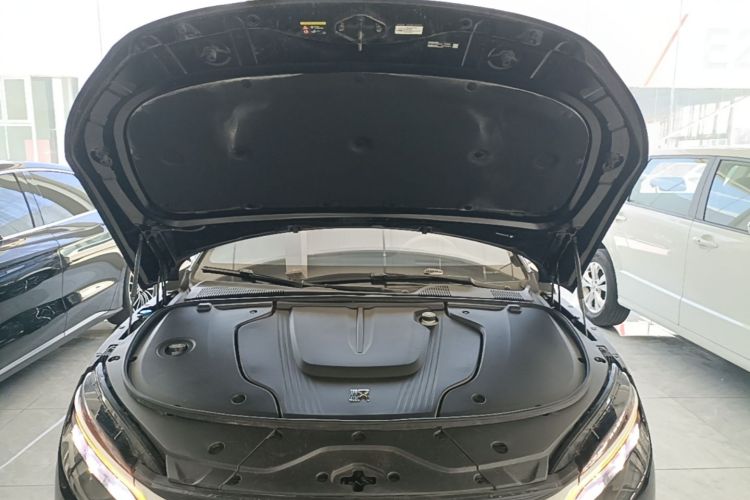 BYD Han 2024 car image #22