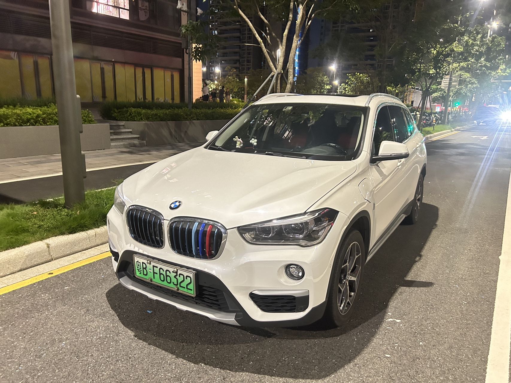 BMW X1 New Energy 2018 car image 