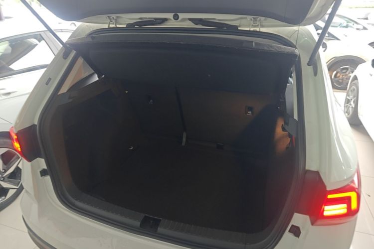 Volkswagen Tharu 2021 car image #21