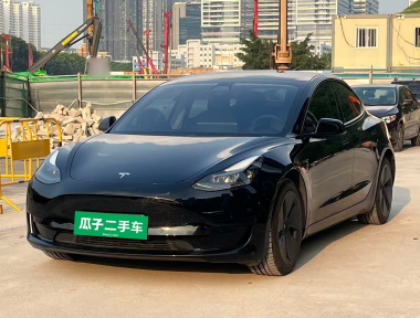 Tesla Model 3 2021 car image 