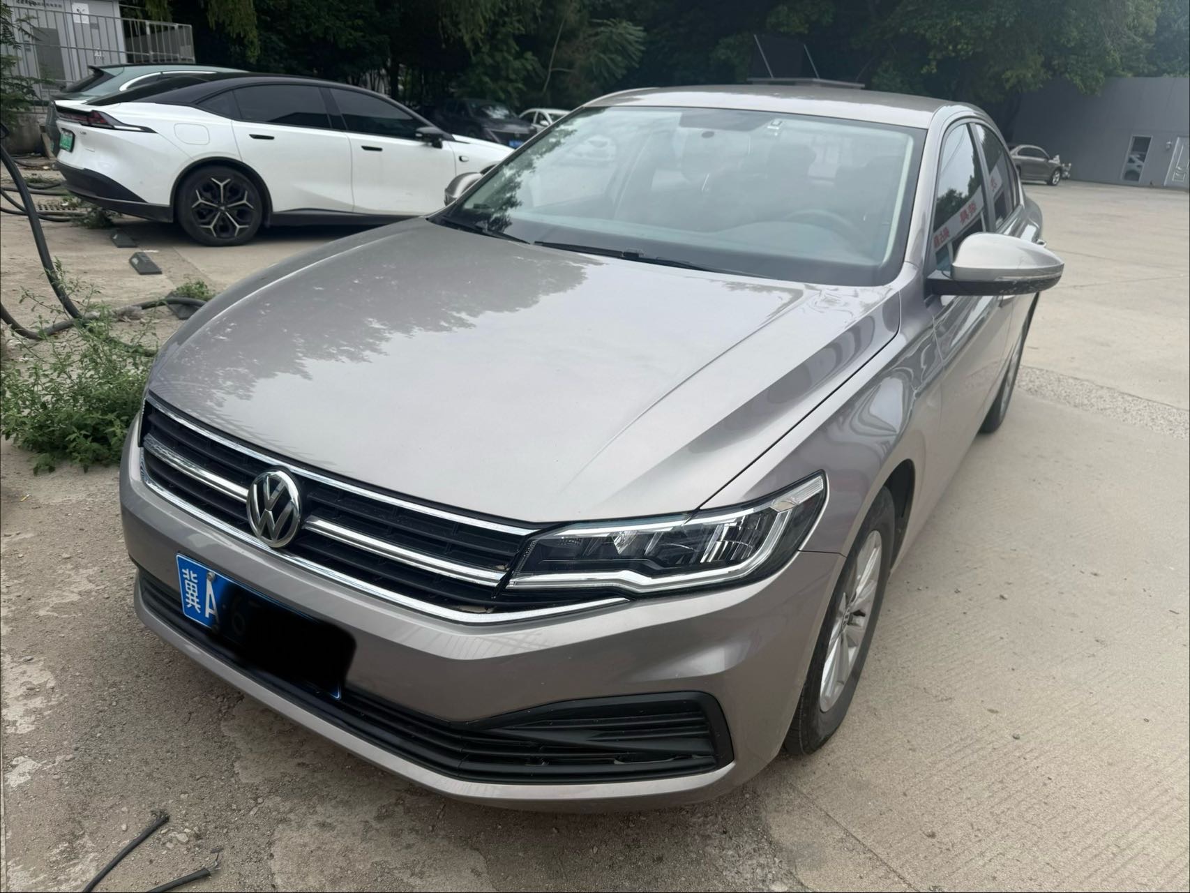 Volkswagen Bora 2019 Volkswagen Bora 2019 car image