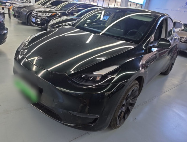 Tesla Model Y 2021 car image 