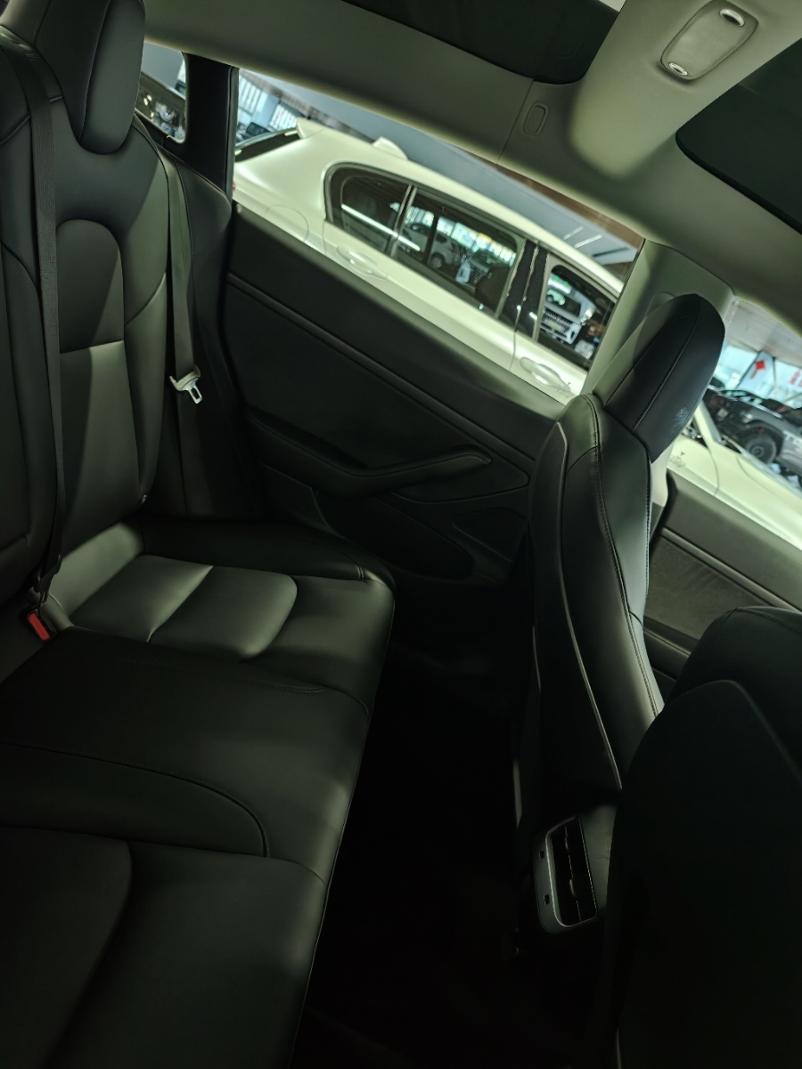 Tesla Model 3 2020 #6 Tesla Model 3 2020 car image #6