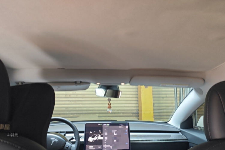 Tesla Model 3 2020 immagine di auto #20