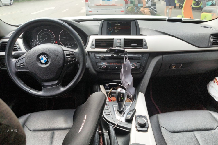 BMW 3 Series 2014 car image #11