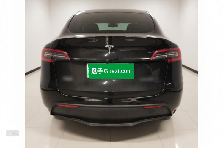 Tesla Model Y 2021 #6 Tesla Model Y 2021 car image #6