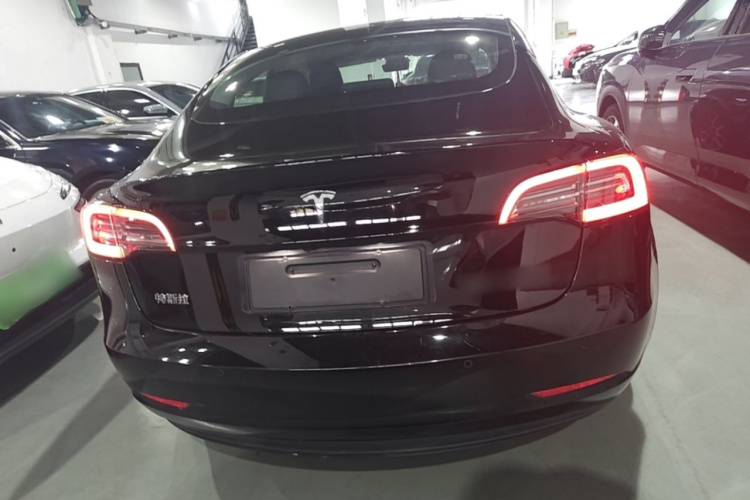 Tesla Model 3 2020 #6 Tesla Model 3 2020 car image #6