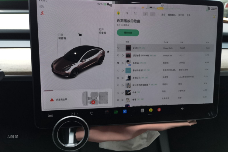 Tesla Model 3 2021 car image #15