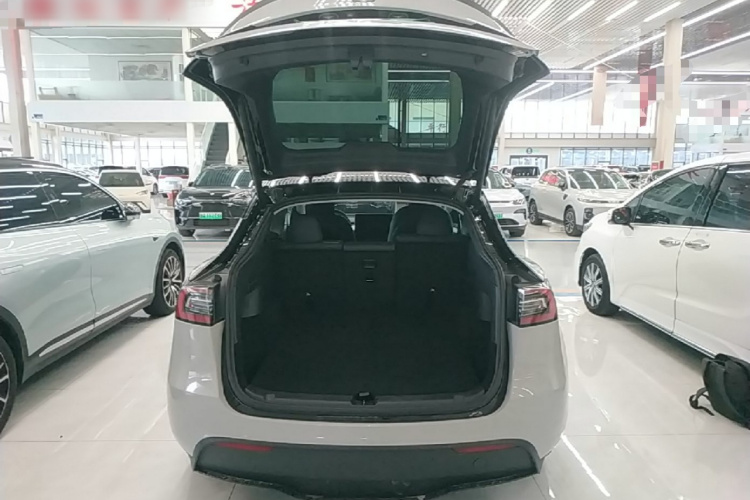 Tesla Model Y 2021 #19 Tesla Model Y 2021 car image #19