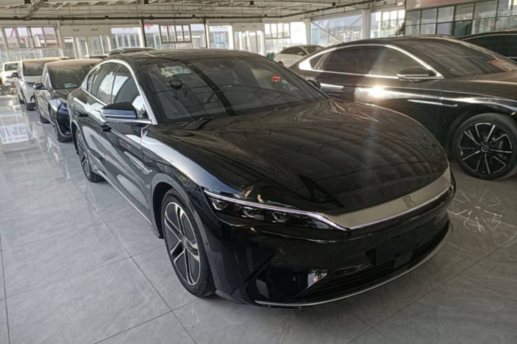 BYD Han 2020 immagine di auto #4