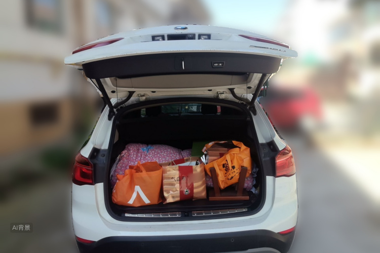 BMW X1 2019 #21 BMW X1 2019 car image #21