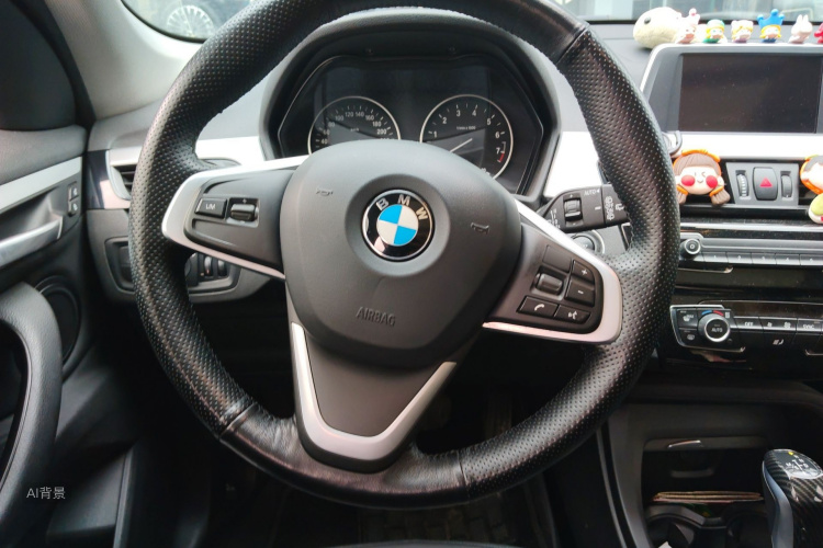 BMW X1 2018 car image #12