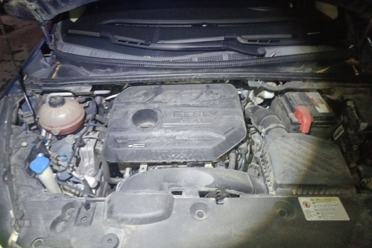 GEELY Emgrand GS 2020 car image #22