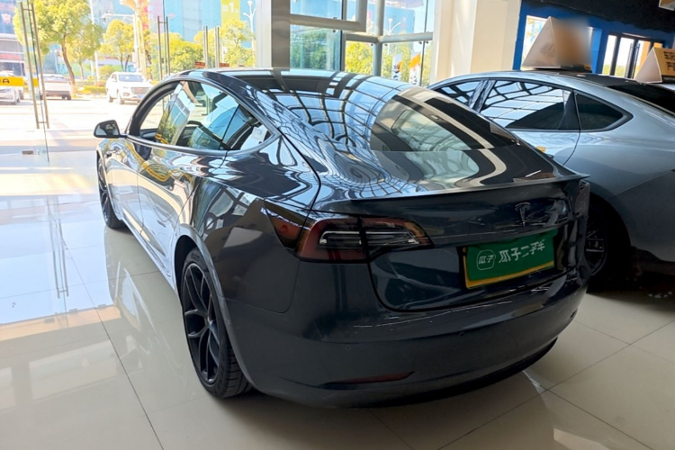 Tesla Model 3 2021 #5 Tesla Model 3 2021 car image #5
