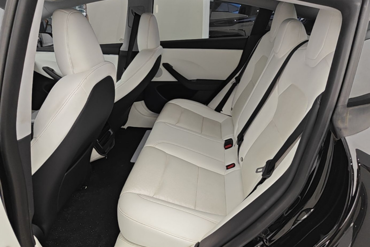 Tesla Model 3 2023 car image #17