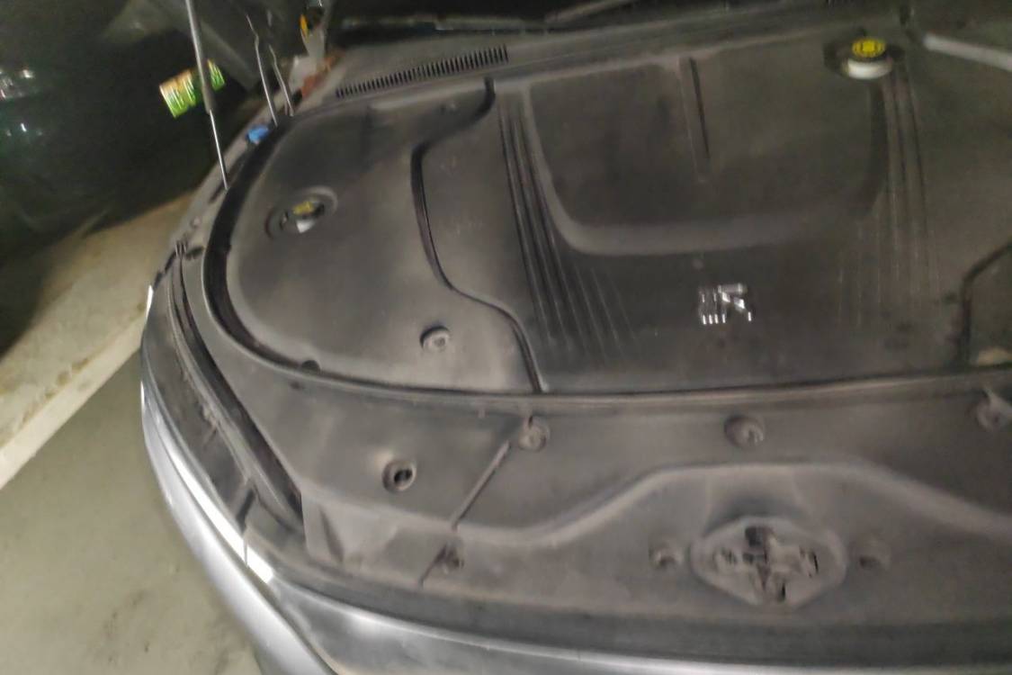 BYD Han 2021 #11 BYD Han 2021 imagen de coche #11