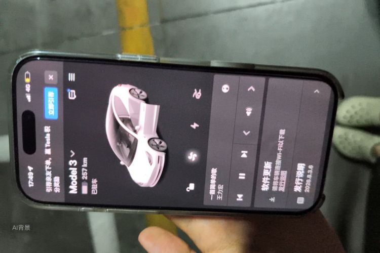 Tesla Model 3 2020 car image #10