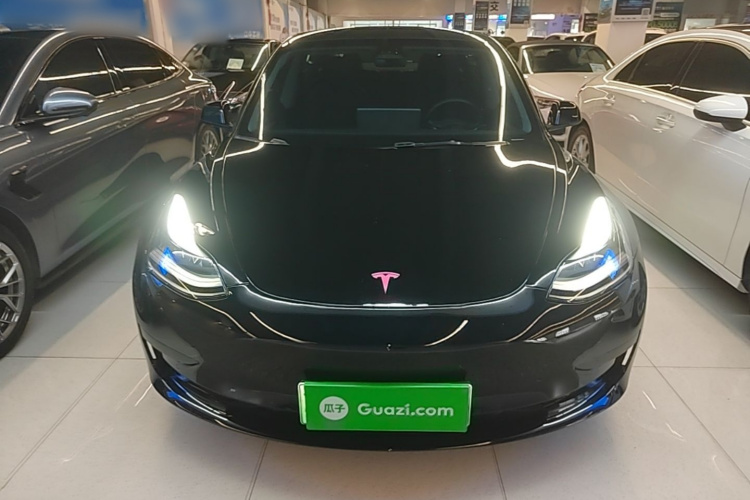Tesla Model 3 2023 #3 Tesla Model 3 2023 car image #3
