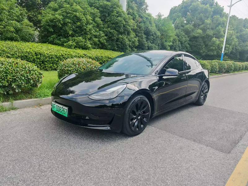 Tesla Model 3 2023 car image 