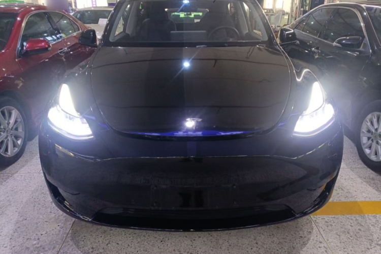 Tesla Model Y 2023 #6 Tesla Model Y 2023 car image #6