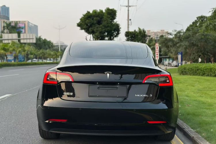 Tesla Model 3 2020 #6 Tesla Model 3 2020 car image #6