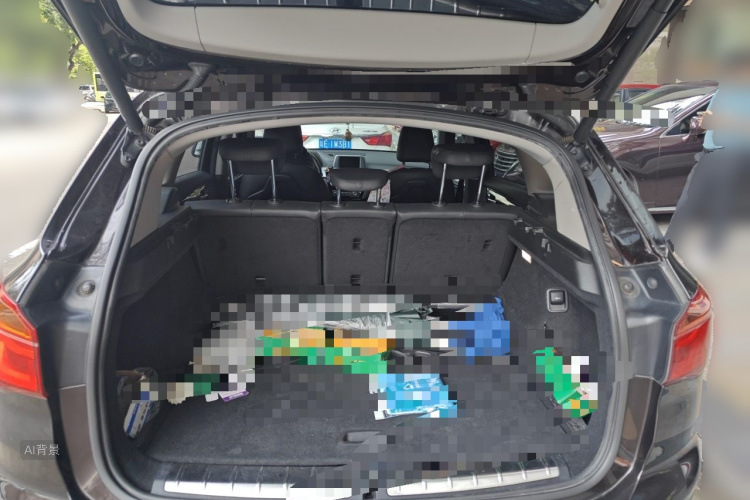 BMW X1 2017 car image #21