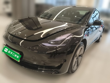 Tesla Model 3 2023 Tesla Model 3 2023 car image