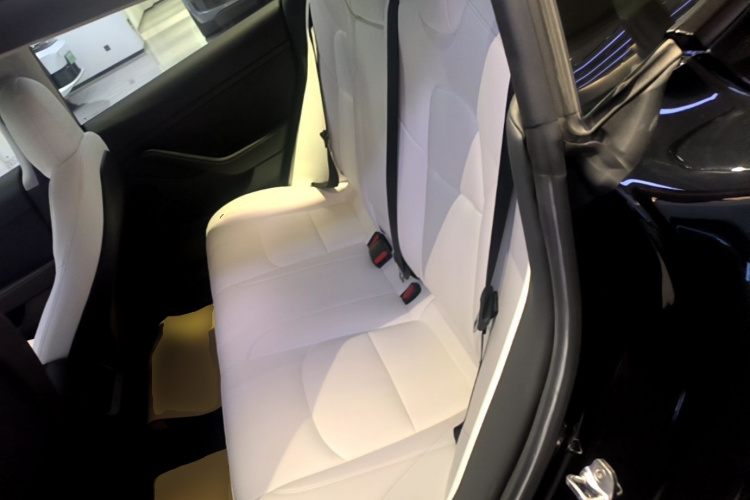 Tesla Model 3 2022 car image #17