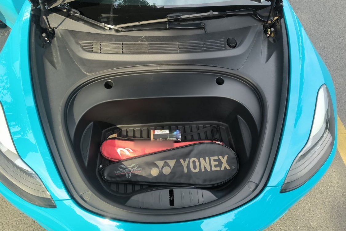 Tesla Model 3 2021 car image #10