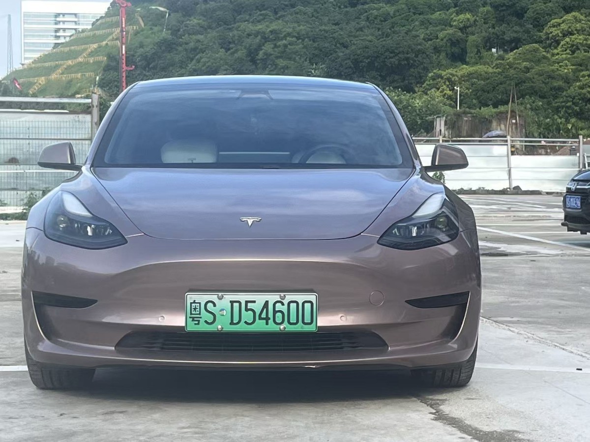 Tesla Model 3 2021 car image #2