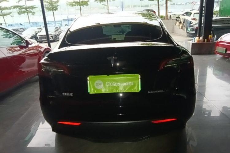 Tesla Model Y 2021 #6 Tesla Model Y 2021 car image #6