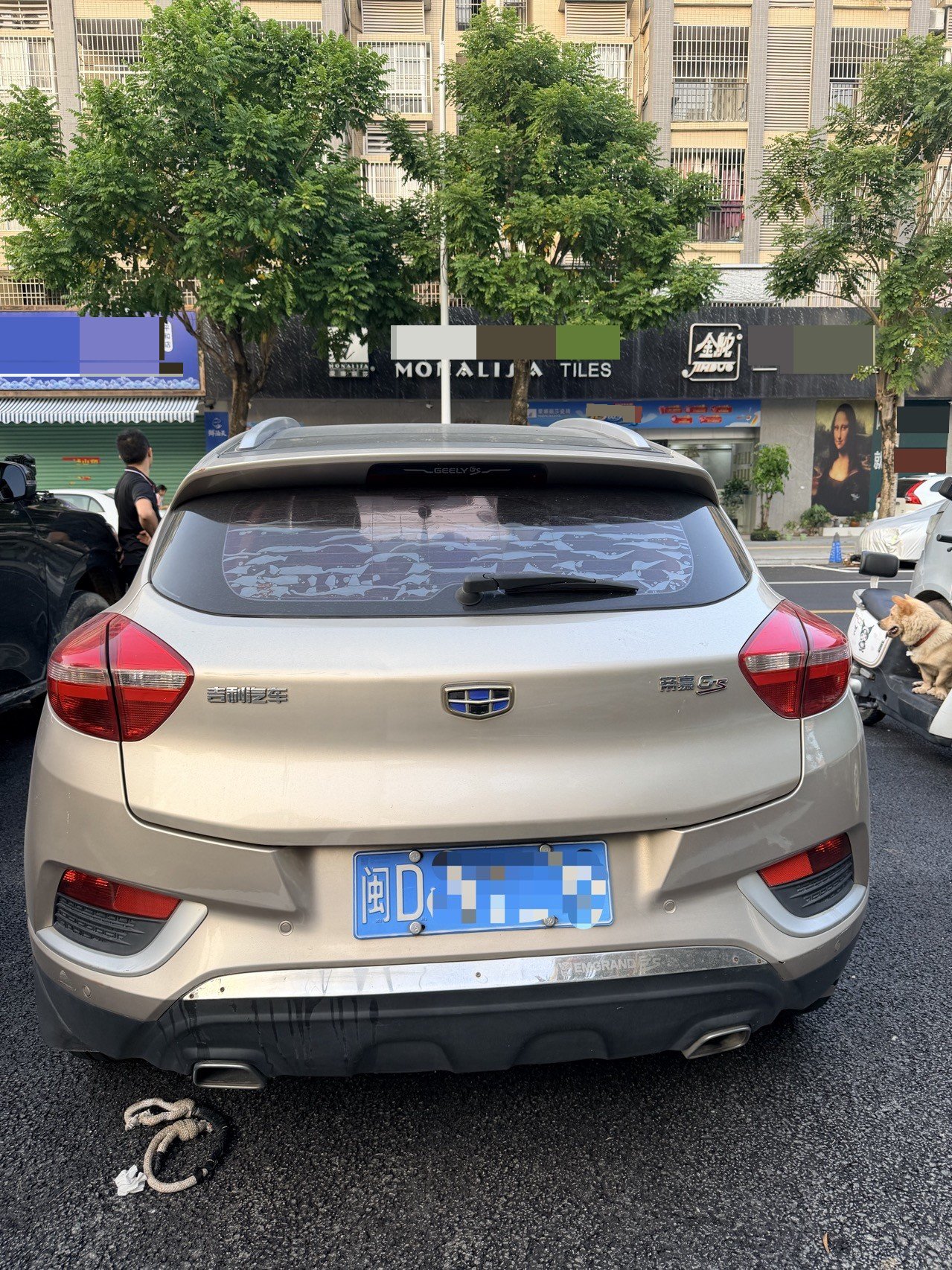 GEELY Emgrand GS 2017 #3 GEELY Emgrand GS 2017 صورة سيارة #3