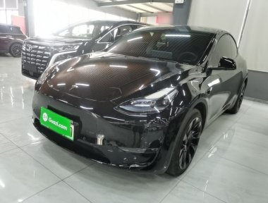 Tesla Model Y 2023 Tesla Model Y 2023 car image