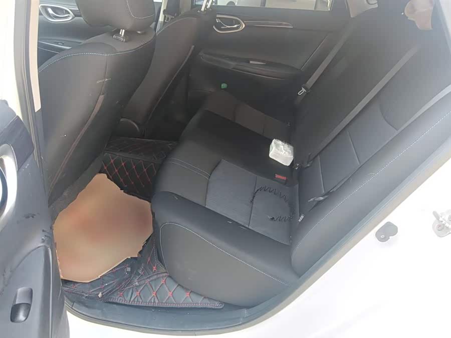 日产 轩逸·纯电 2019 汽车图片 #17